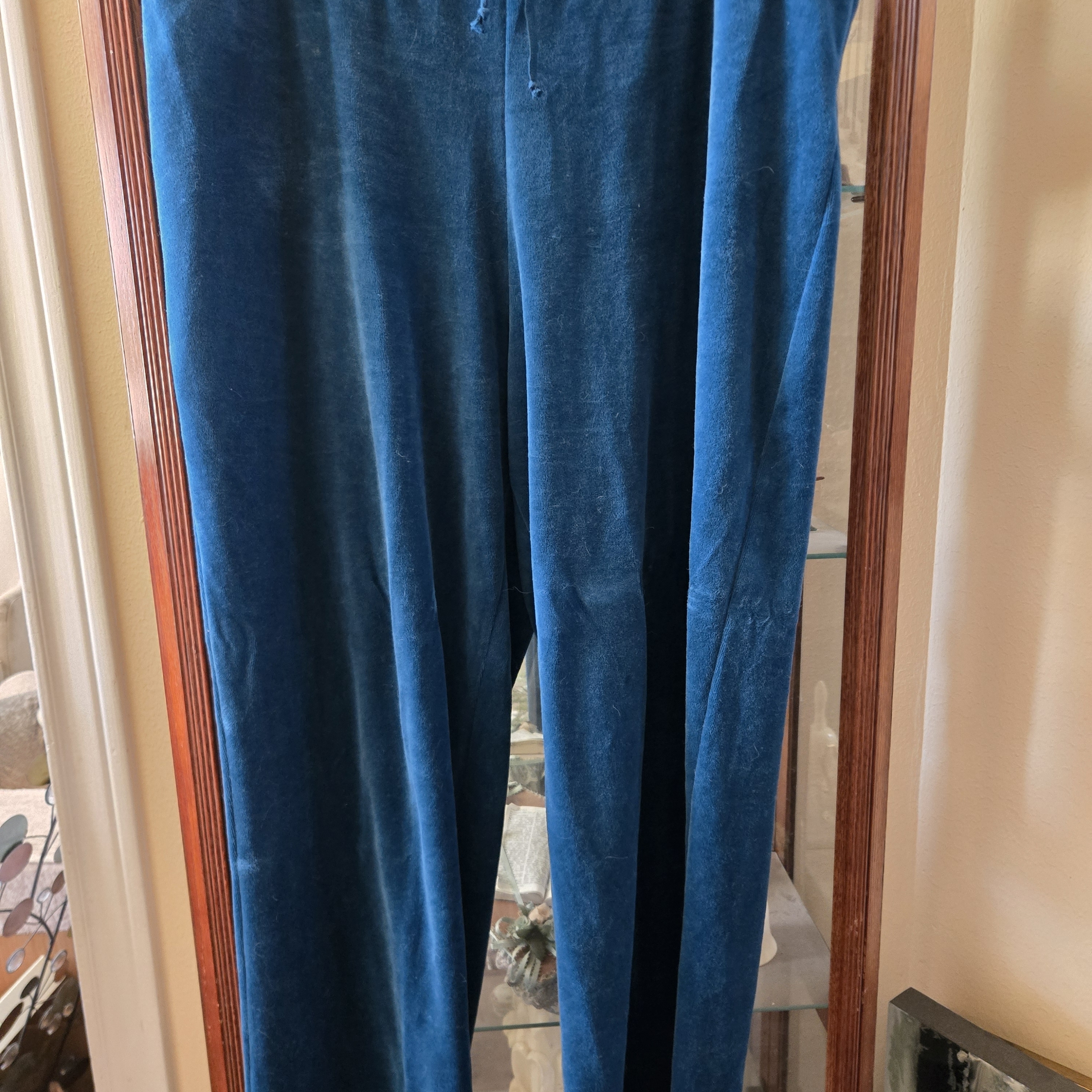 Women's Teal Velvet Pants Xl